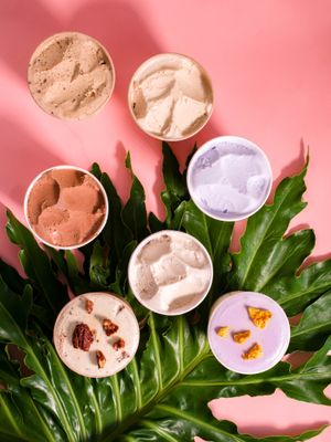 Our resident flavors: Super Sunflower, Coco-nila, Chocolate Date, Coco Playero, Vainilla Clasica, Guineo Praline, Lavanda Honeecomb at Mucho Gusto - Trujillo Alto in Trujillo Alto