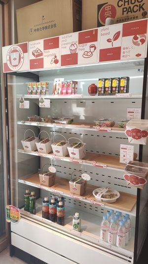 Take away at Tenzo in Tokyo