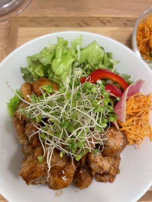 Vegan soy meat bowl  at Tenzo in Tokyo