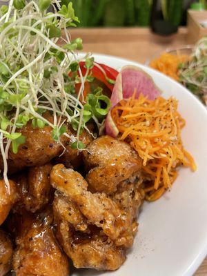 Soy meat orange glazed  at Tenzo in Tokyo