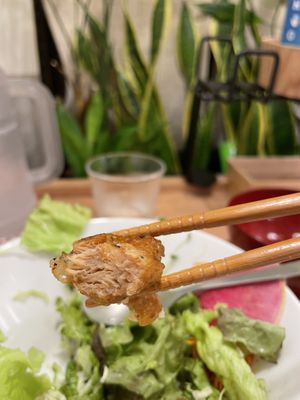 Soy meat close-up  at Tenzo in Tokyo