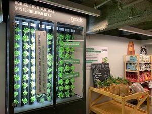 Vertical planting
 at Linverd Market in Barcelona