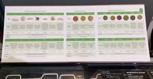 Vegan empanadas, vegan quique, vegan veggie burgers, vegan hamburgers at Linverd Market in Barcelona