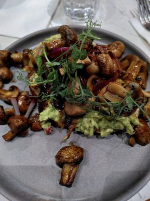 Mushrooms and avocado on toast (December 2022) at Kofi&Co in Wetherby