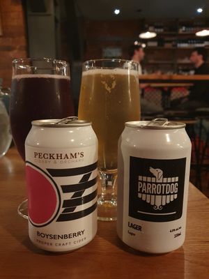 Drinks at Nolita in Wellington