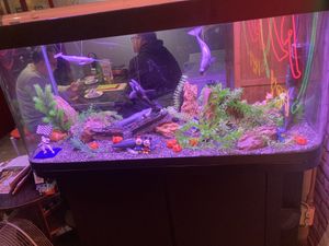 Cute figurines in an aquarium!   at Chao 炒炒蔬食熱炒 in Taipei