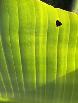 Universe sending love 💕  at The Bullhouse in Chestertown