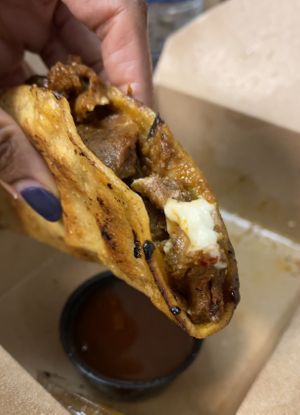 Birria taco  at Terror Tacos in St Louis