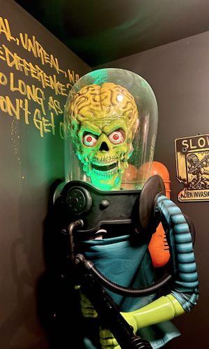   at Terror Tacos in St Louis