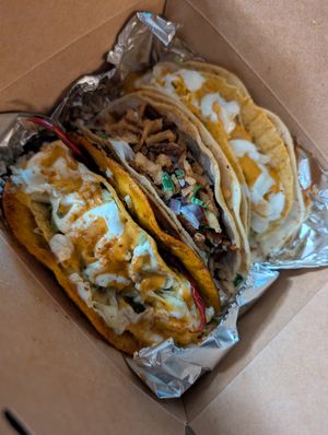  at Terror Tacos in St Louis