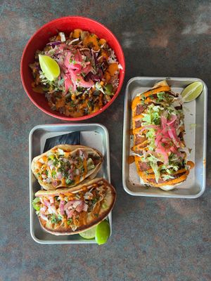 Chick’n Adobo Burrito, bowl, and tacos at Terror Tacos in St Louis