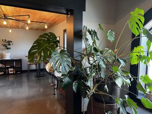 Warehouse 4 Coffee - Inside  at Warehouse 4 Coffee in Vandalia