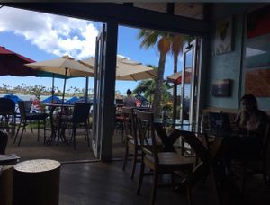 View looking out to patio at Island Brew Coffeehouse in Honolulu