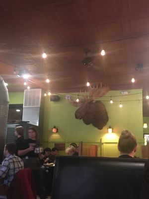 Dead animal wall decor at Golden West Cafe in Baltimore