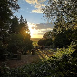Historische Treppe am alten Haupteingang  at Berggasthaus Niedersachsen in Gehrden