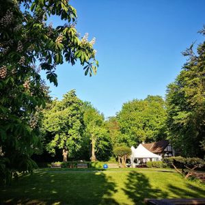 Kastaniebblüte im Garten  at Berggasthaus Niedersachsen in Gehrden