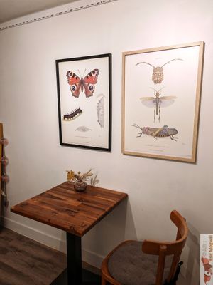 Deco at Les Herbes Folles in Dourdan