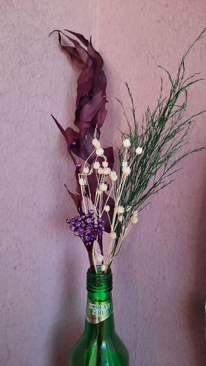 Decor at Cozinha Bons de Bico in Ipojuca