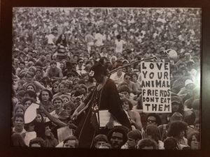 Decor inside the building   at Sunny's Backyard in Austin