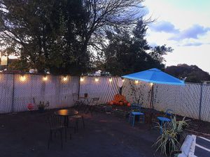Outdoor seating (photo from their website) at Purr Cup Cafe in Raleigh
