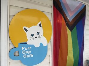   at Purr Cup Cafe in Raleigh