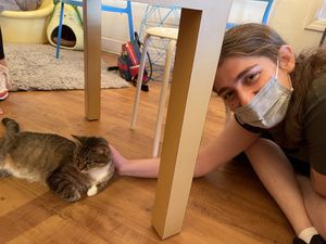   at Purr Cup Cafe in Raleigh