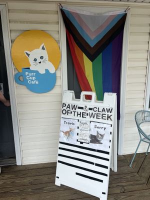   at Purr Cup Cafe in Raleigh