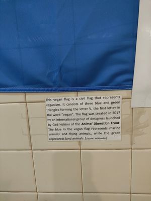  at Eliza's Vegan Café in Florence