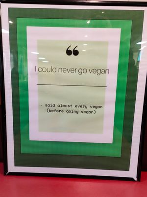  at Eliza's Vegan Café in Florence