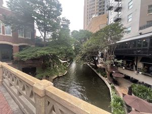   at Iron Cactus in San Antonio