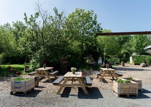 Terrace Kasvio at Kasvio in Utrecht