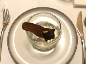 Starter 1  at Kasvio in Utrecht