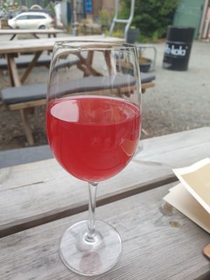  at Kasvio in Utrecht