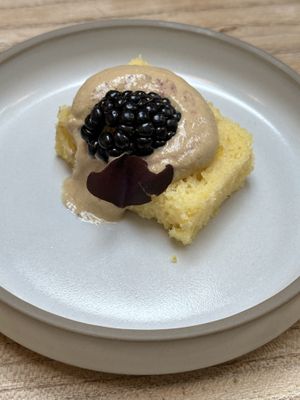   at Kasvio in Utrecht