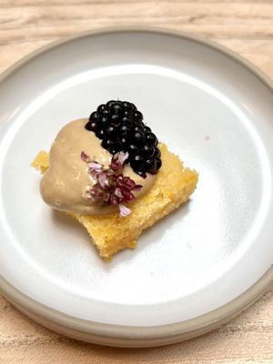   at Kasvio in Utrecht