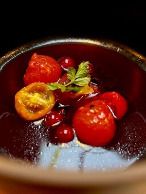   at Kasvio in Utrecht