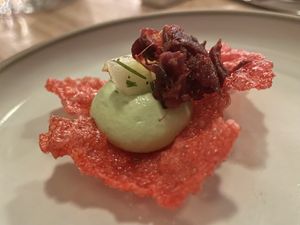   at Kasvio in Utrecht