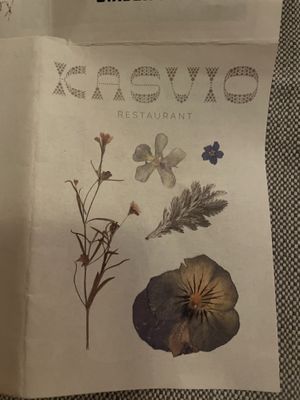   at Kasvio in Utrecht