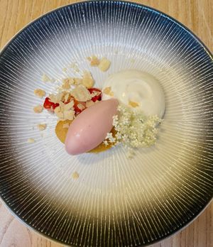   at Kasvio in Utrecht