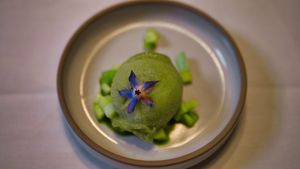 Cucumber sorbet on cucumber and basil oil topped with Fingerlime seeds and a Borage flower at Kasvio in Utrecht
