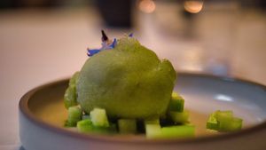 Cucumber sorbet on cucumber and basil-oil topped with Finger lime seeds and a Borage flower at Kasvio in Utrecht