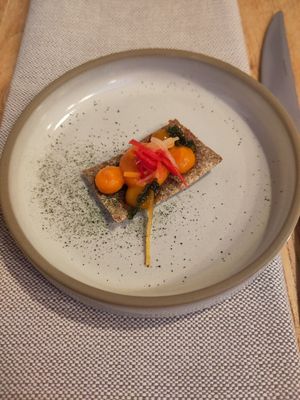  at Kasvio in Utrecht