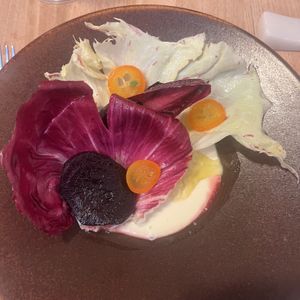 Radicchio salad  at Kasvio in Utrecht