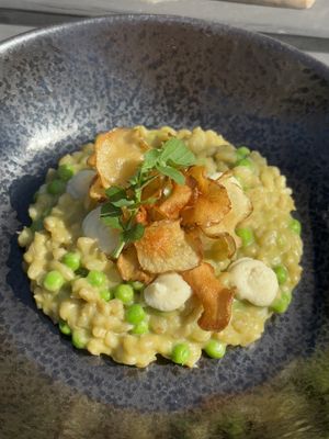   at Kasvio in Utrecht