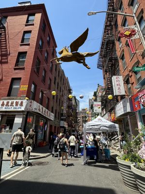 Realized I didn’t photograph the food. Not photogenic. But here’s the street.  at Vegetarian Dim Sum House in New York City