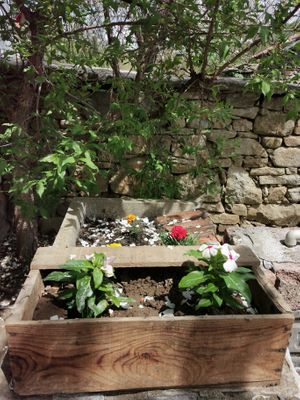 Flowers Volunteers  at RisingSoul Retreat in Tryavna