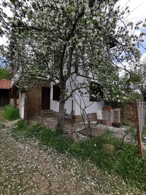Front drive  at RisingSoul Retreat in Tryavna