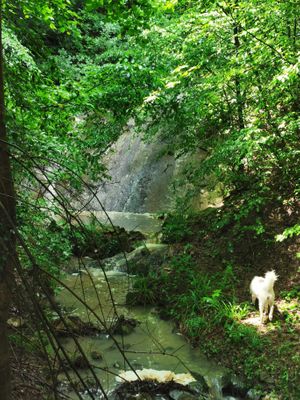  at RisingSoul Retreat in Tryavna