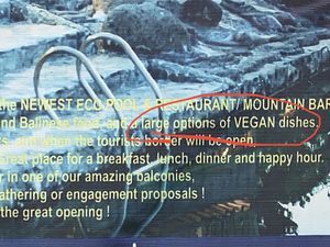 Misleading- no vegan options   at Penida Bambu Green Suites in Penida Island