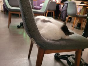  at The Vegan Regime in Istanbul